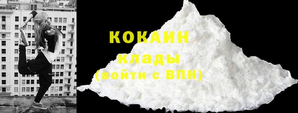 хмурый Абаза